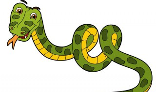 家里进蛇的是什么预兆 家里进蛇的真正预兆是什么?