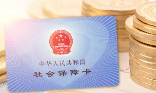 个人怎么申请社保卡（个人怎么申请社保卡账号）