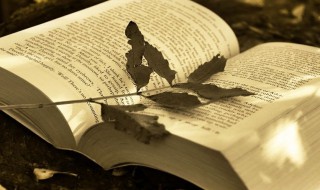 低调有深度的句子 低调有深度的句子八个字