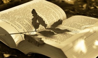 开始新的征程经典句子（开始新的征程经典句子图片）