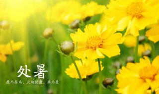 2021处暑节气的含义是什么意思 2021过了处暑是什么节日