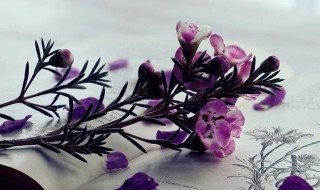 一个人挺好的说说句子 一个人挺好的说说句子一个人生活挺好的句子