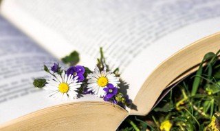 高情商的哄女朋友句子 哄女朋友情话短句