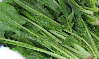 春季吃什么菜好 春季吃什么菜好菜谱
