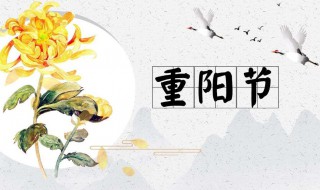 重阳节赏菊古诗（重阳节赏菊赋诗）