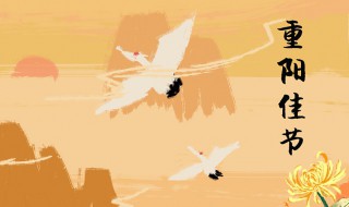 重阳节登高说说（重阳节登高远眺说说）