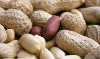 女人梦见带壳的生花生是什么意思（梦到带壳的花生是什么意思）