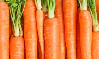 胡萝卜土豆丝怎么炒 胡萝卜炒土豆丝怎么炒好吃