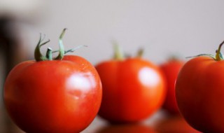 西红柿和茄子怎么炒（西红柿和茄子怎么炒好吃）