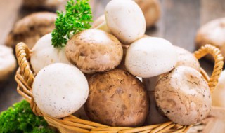 酸辣蘑菇怎么炒好吃 酸辣蘑菇怎么炒好吃又简单