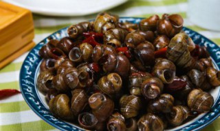 车螺怎么炒 炒车螺怎么炒,最好吃