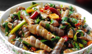 海螺怎么炒（海螺怎么吃和处理方法）