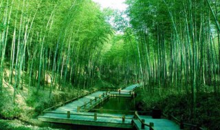 南京到南山竹海怎么走（从南京到南山竹海怎么坐车）