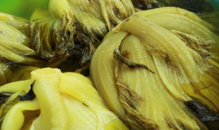 咸菜怎么炒（蘑菇炒咸菜怎么炒）