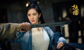 扶摇皇后小说讲的什么(扶摇皇后小说讲的什么意思)