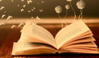 摆渡人小说讲的什么（摆渡人小说讲的什么故事）