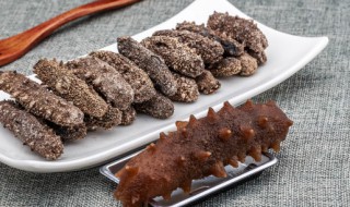 发好海参储存方法（发好海参的保存方法）