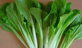 鸡毛菜保鲜窍门(鸡毛菜保鲜方法)