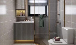 卫生间里的小黑线蛆怎么杀死（卫生间里的小黑线蛆怎么处理）