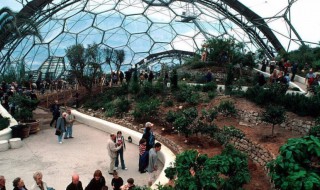 九洲伊甸园热带植物园在哪里 九洲伊甸园热带植物园在哪里啊