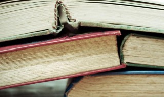 关于礼仪的名言警句 中外关于礼仪的名言警句