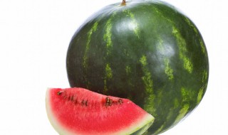 瓜有几种分类 都有哪些瓜类