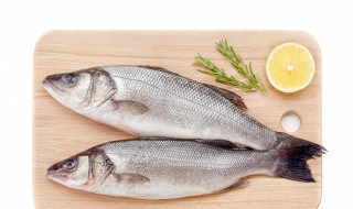 杀好的鲈鱼第二天可以清蒸吗 杀了的鲈鱼可以第二天做吗