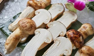 鲜松茸怎么吃最有营养 鲜松茸怎么吃最有营养价值