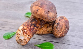 冷冻松茸怎么做（冷冻松茸怎么做才好吃）