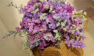 永生花放卧室风水(永生花放家里什么位置好)