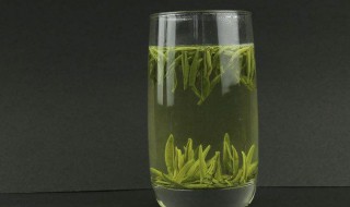 峨眉雪芽的功效与作用（峨眉雪芽的功效与作用是什么）