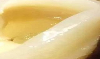 炖花胶的功效 天麻炖花胶的功效