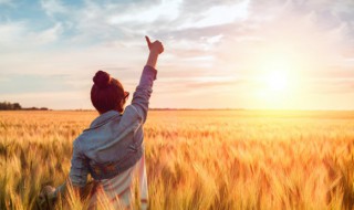 干净治愈阳光的文案（关于阳光的治愈文案）