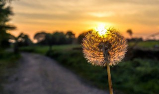 感悟人生缘分情感语录(感悟人生缘分情感语录图片)