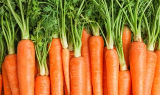 蔬菜丁小圆饼的做法（蔬菜小饼的做法大全）