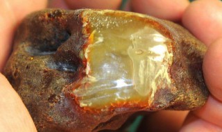 琥珀的由来 琥珀的由来50字