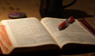 告别母校的作文（告别母校的作文500字六年级）