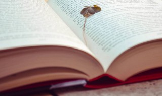 躲了雷公遇了霹雳是什么意思（躲了雷公遇了霹雳是什么意思呀）