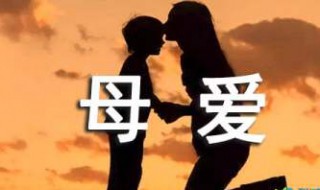 歌颂母亲的作文 歌颂母亲的作文200字
