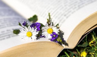 发乎情止乎礼义是什么意思（发乎情,止乎礼的意思）