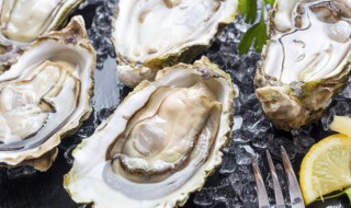 家常蚝烙的做法 蚝仔烙的家常做法