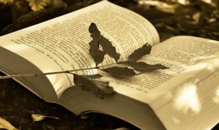 治得病治不得命是什么意思(治得病治不得命是什么意思呀)