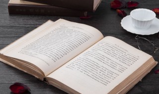 它山之石可以为错是什么意思 他山之石可以为错他山之石可以攻玉是什么意思