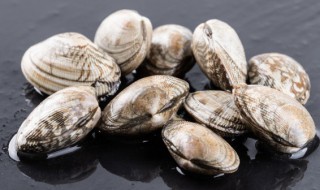 美贝储存方法（美贝的储存方法）