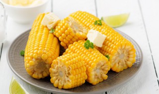 储存玉米的方法 储存玉米的方法都有什么