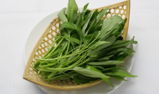 地菜储存方法（地菜储存方法有哪几种）