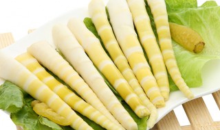 笋尖储存方法 笋尖储存方法图解