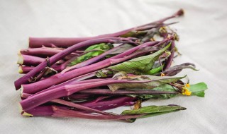 素炒红菜苔的做法 素炒红菜苔的做法大全
