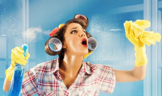 关于家务劳动的知识（关于家务劳动的知识点）