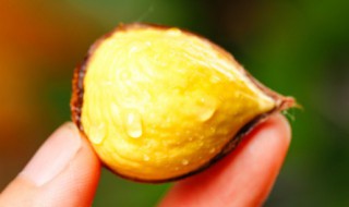 板栗怎么剥皮比较快（板栗怎么能快速剥皮）